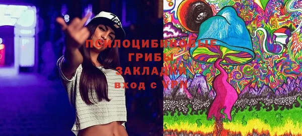 спиды Алексин