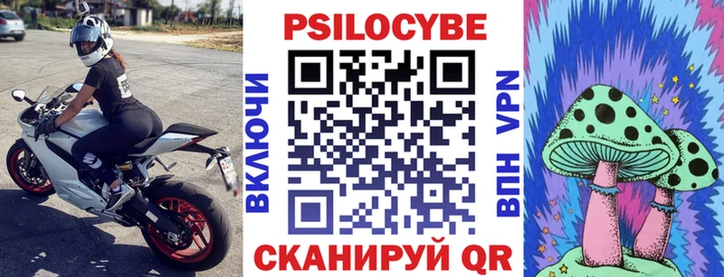 блэк спрут Данков Галлюциногенные грибы Psilocybe